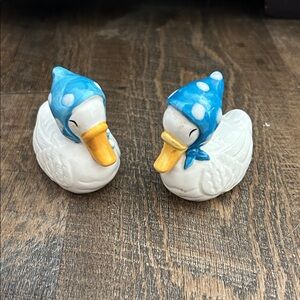 Blue Bonnet Ducks Parade‎ Salt and Pepper Shakes Cottagecore Goose Country